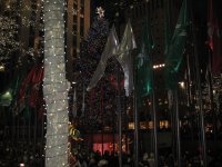 IMG_0388