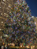 IMG_0390